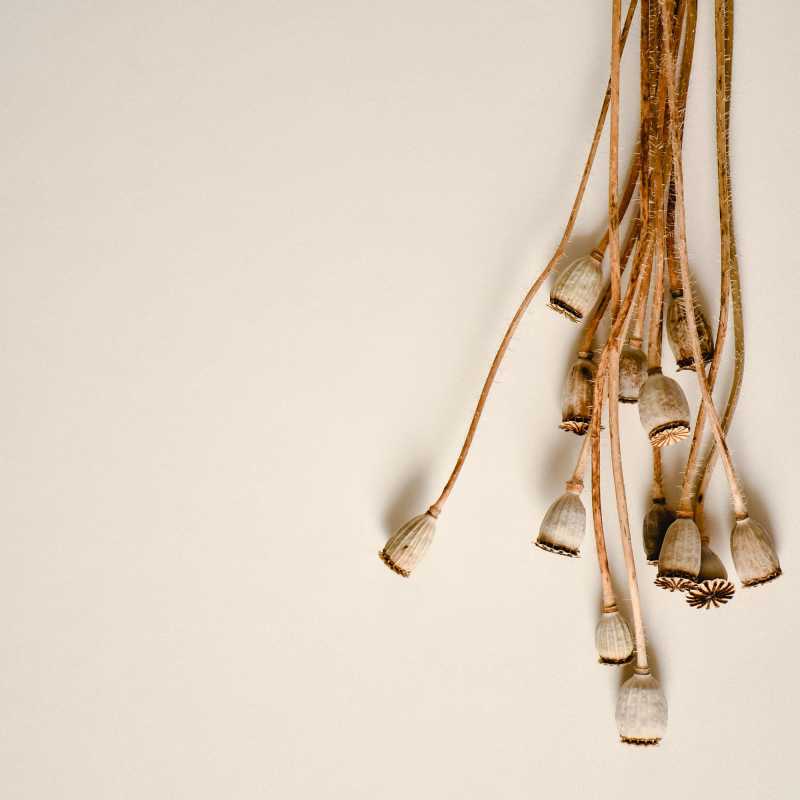 Top Gifts For Mom/Grandma/Family